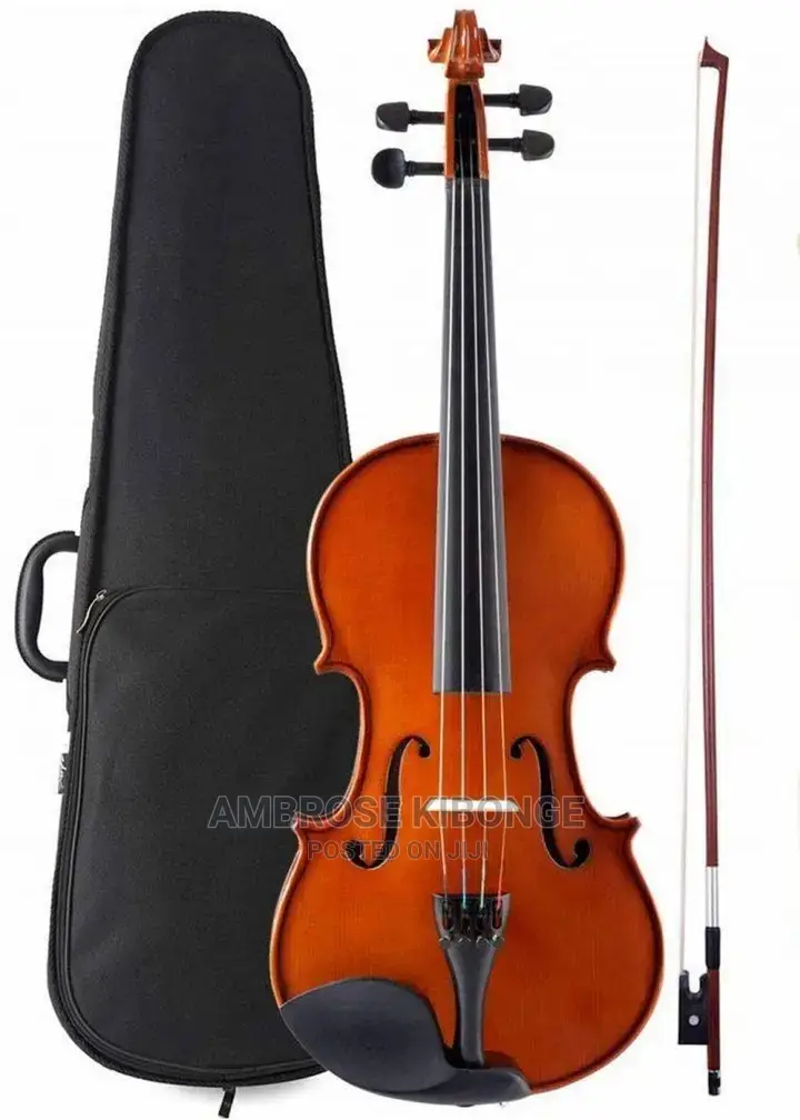 Top-Quality Generic Professional 4/4 Full Size Violin