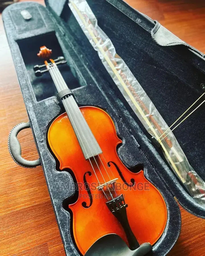 Top-Quality Generic Professional 4/4 Full Size Violin