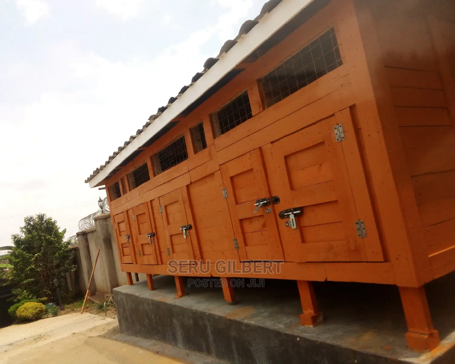 5room Dog House