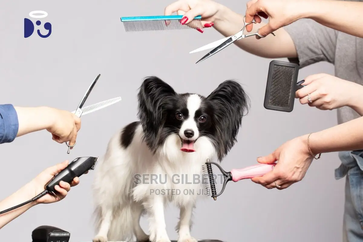 Top Grooming