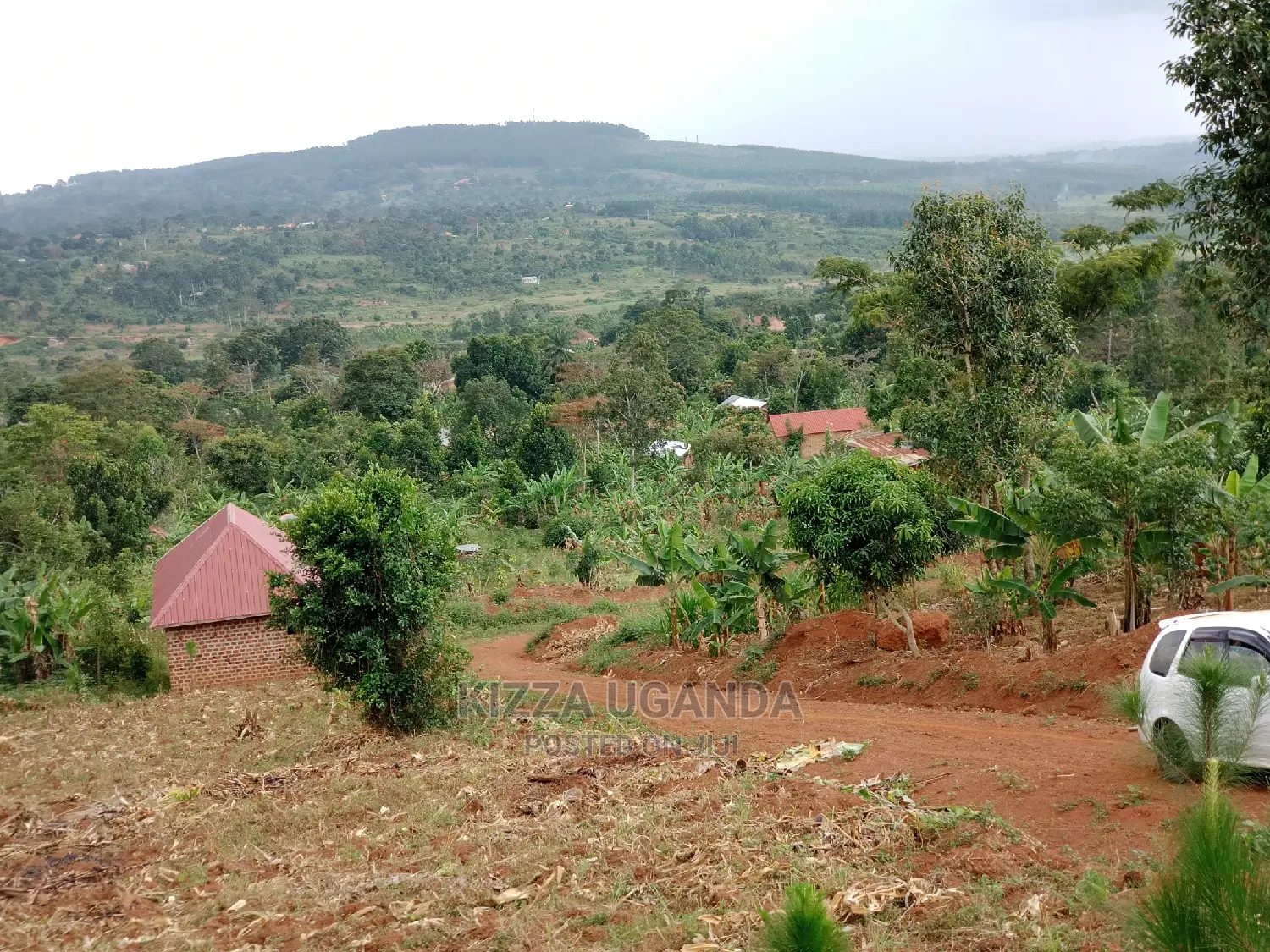 Hot 3 Acres in Kisoga Town