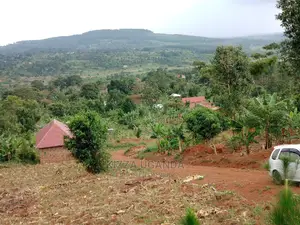 Hot 3 Acres in Kisoga Town