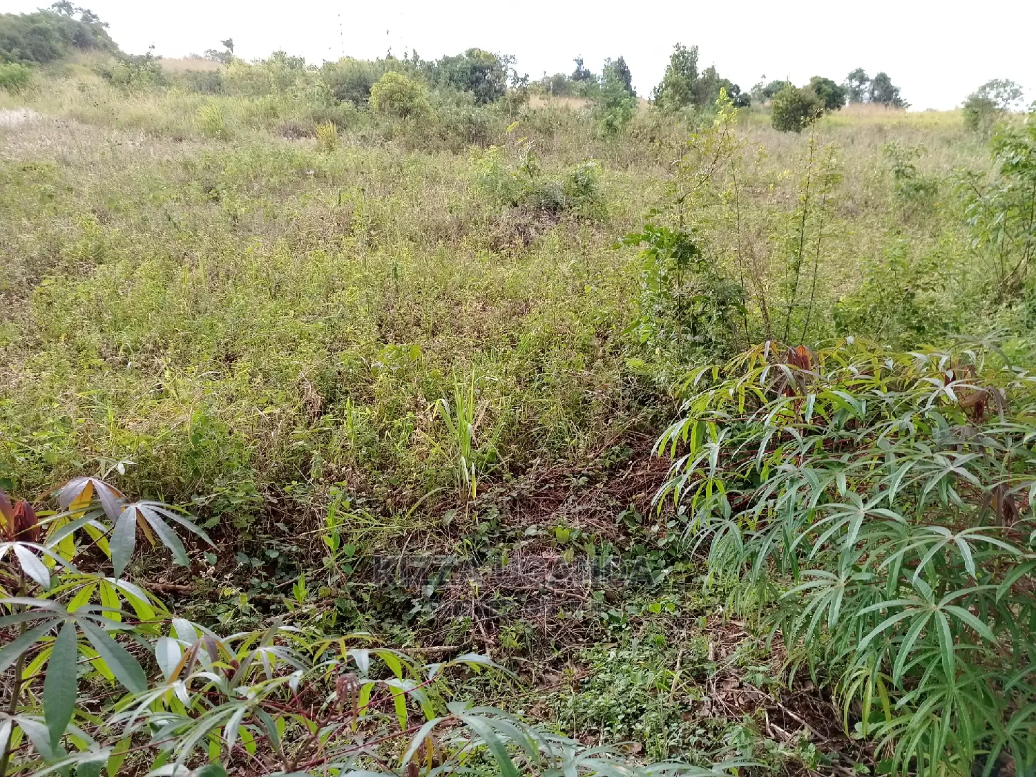 Hot 3 Acres in Kisoga Town