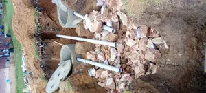 The Biodigester Septic Tank System for Schools, Hospitals