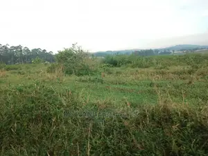 Plot for Sale in Gayaza Kayebe