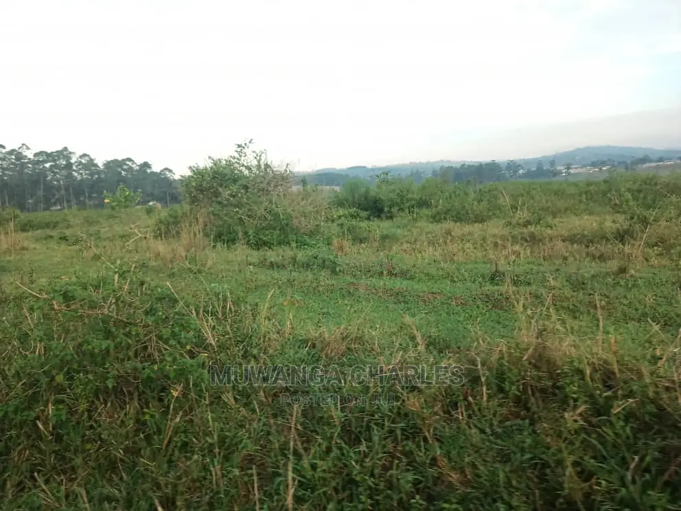 Plot for Sale in Gayaza Kayebe