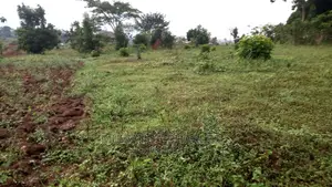 Plot for Sale in Gayaza Kayebe