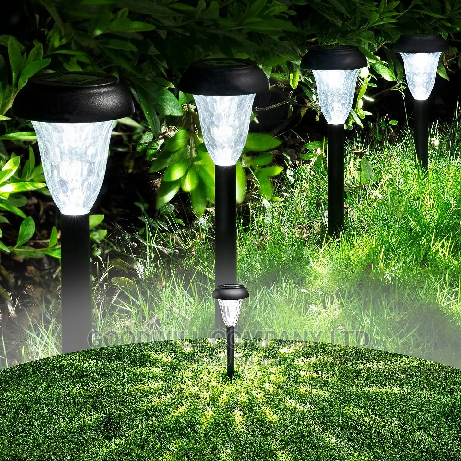Solar Garden Lights $