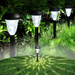 Solar Garden Lights $