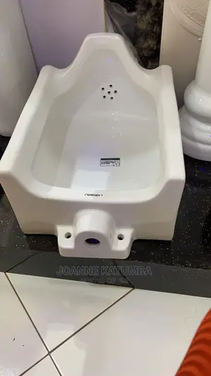 Urinal Bowl