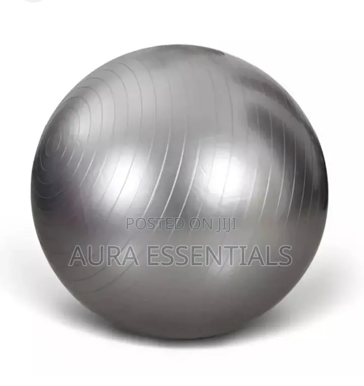 High Quality Yoga Ball / Gym Ball