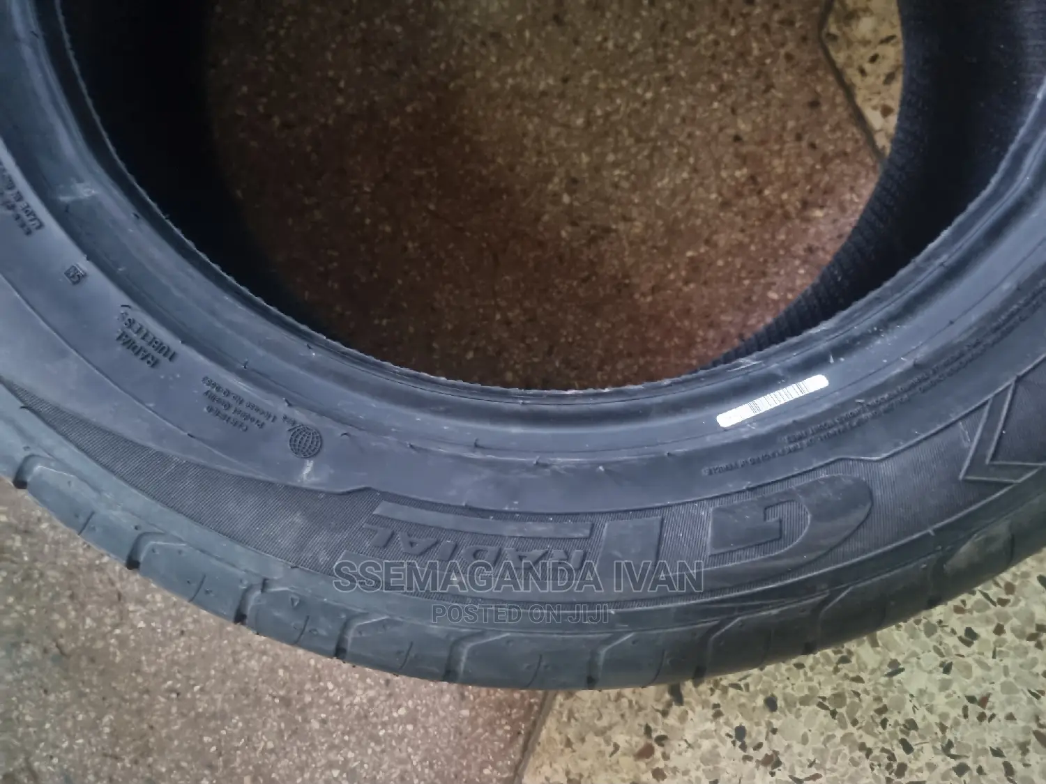 225/55r17 Gt Radial Champiro
