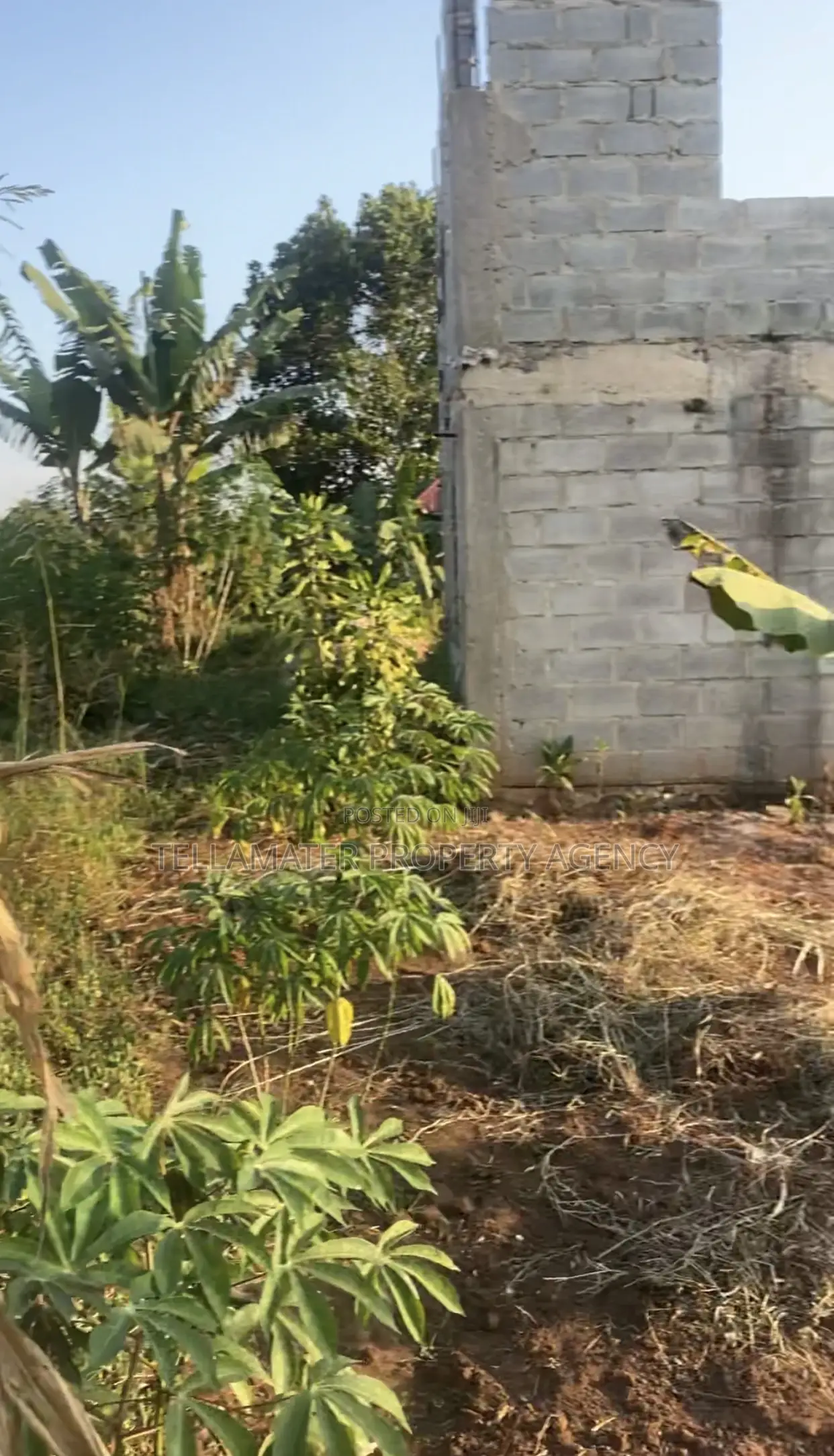 Land for Sale (50x100ft) at Kakinzi Nakifuma