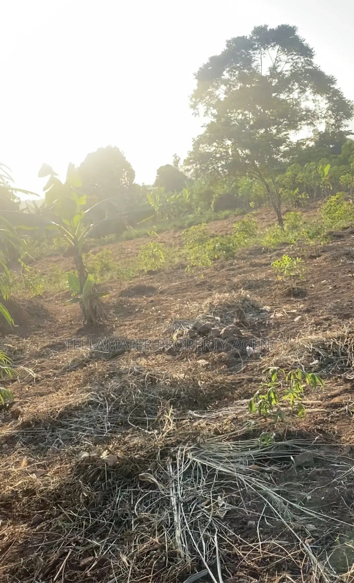 Land for Sale (50x100ft) at Kakinzi Nakifuma