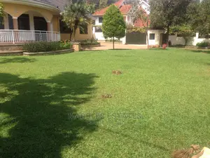 Four Bedroom House in Naguru for Rent