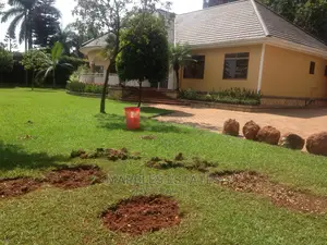 Four Bedroom House in Naguru for Rent