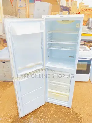 Fridge Repair