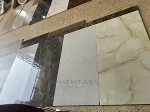 60 by 60 China and Spain Tiles