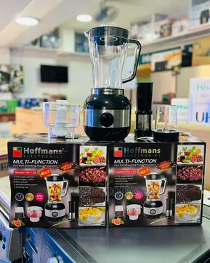 Hoffman 4 in 1 Juice Blander