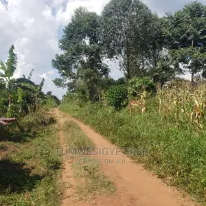 5 Square Miles of Land for Sale in Nakaseke District