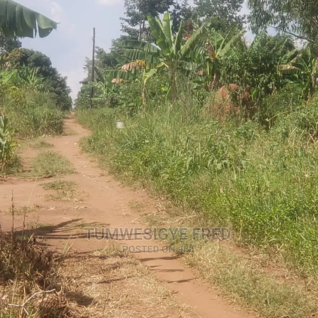 5 Square Miles of Land for Sale in Nakaseke District