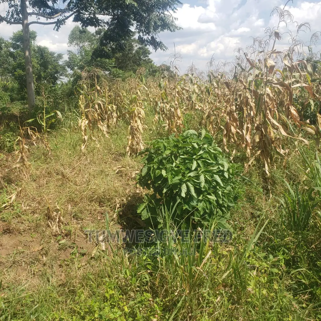 5 Square Miles of Land for Sale in Nakaseke District