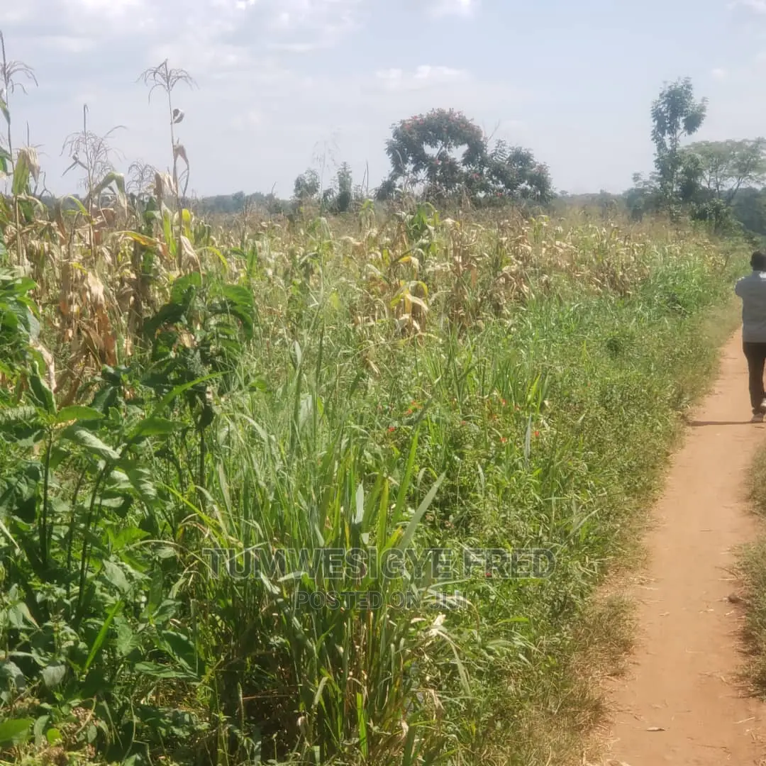 5 Square Miles of Land for Sale in Nakaseke District