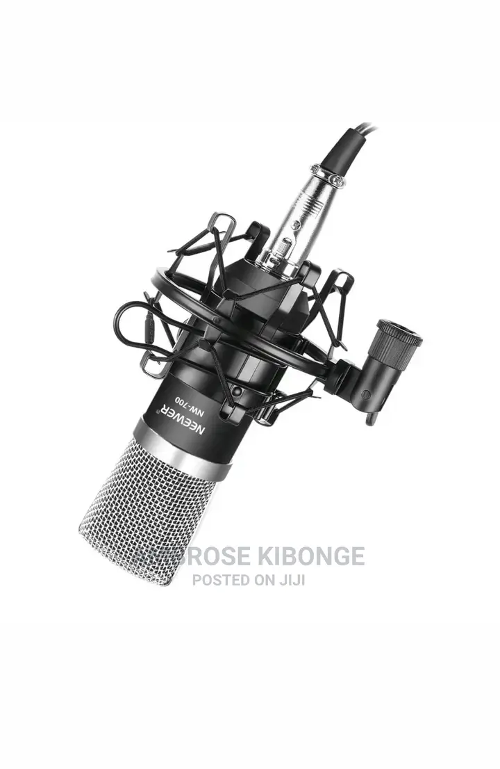 High Quality Portable Shock Mount for Studio Microphones.