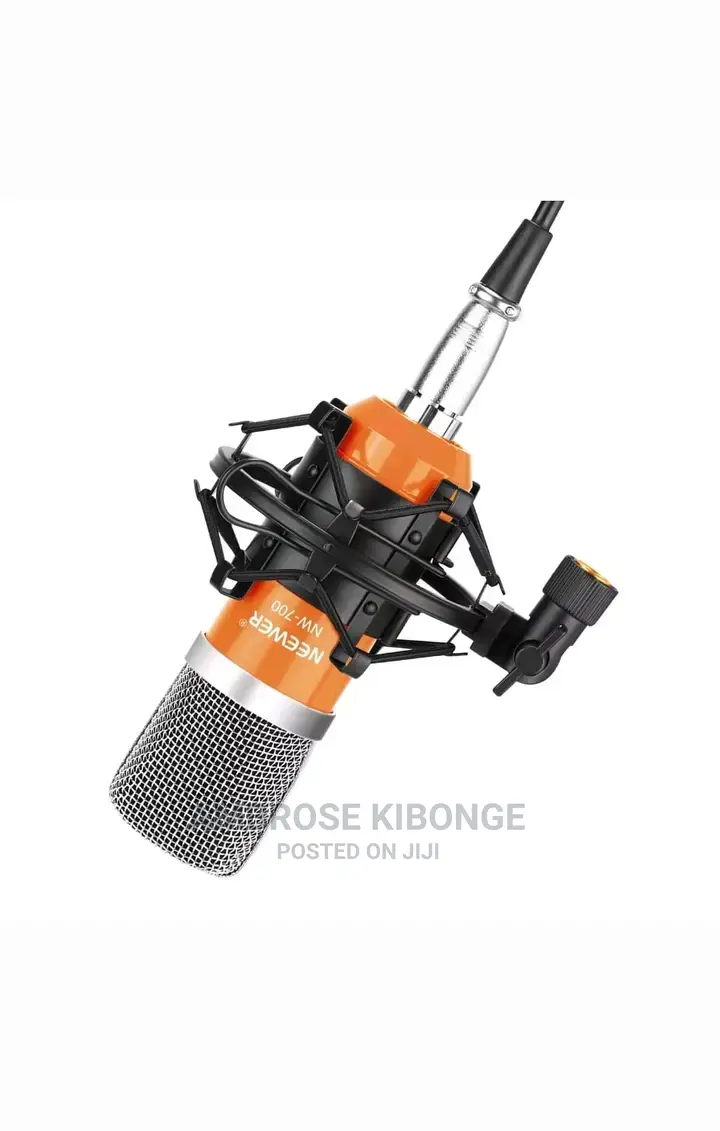 High Quality Portable Shock Mount for Studio Microphones.