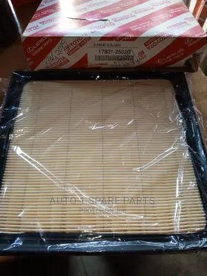 Air Cleaner Rav4 2019