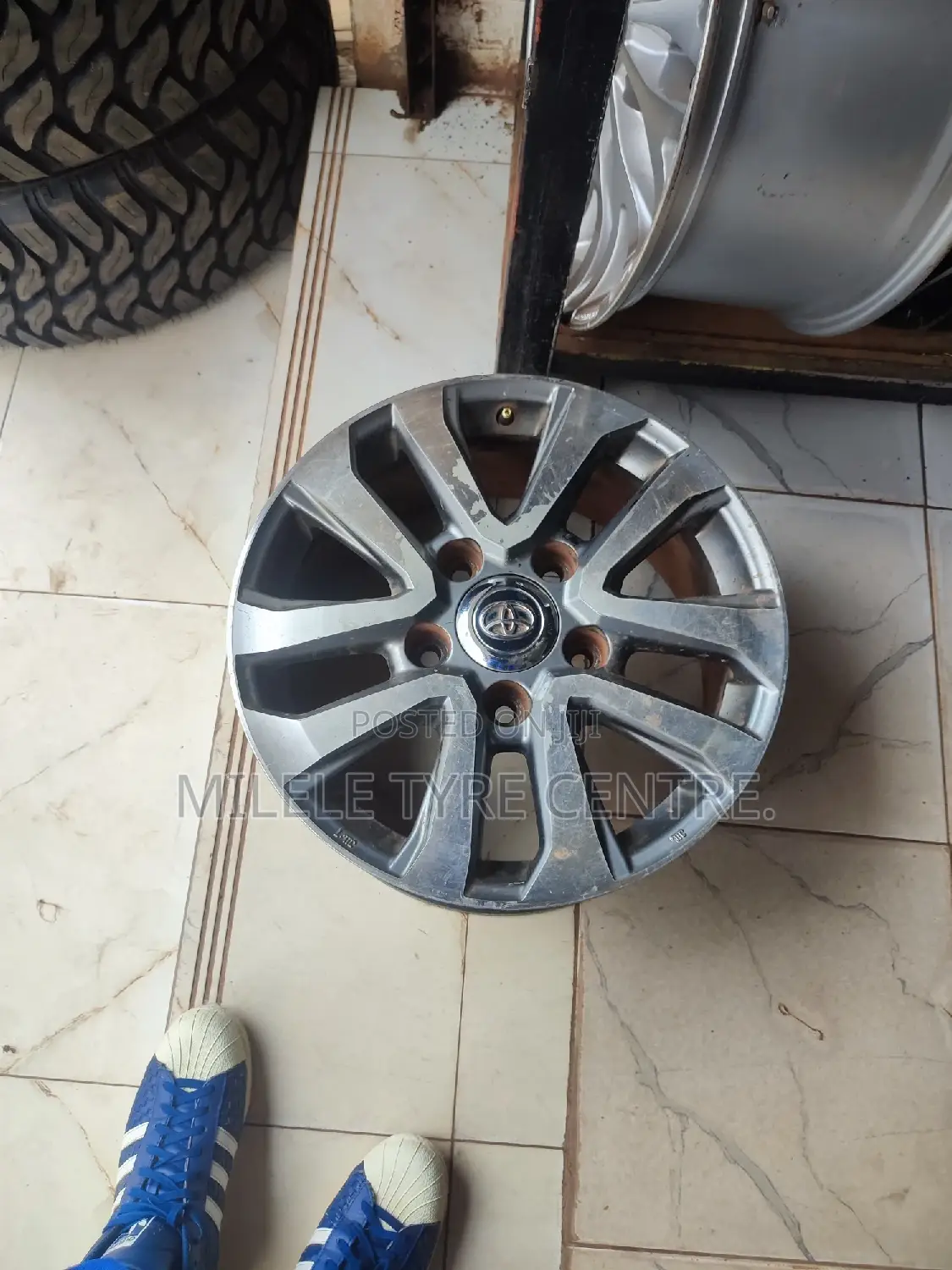 Spot Rims for All Cars