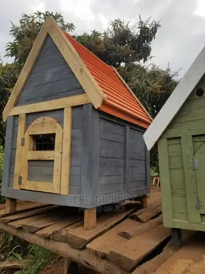 Yn Dog House