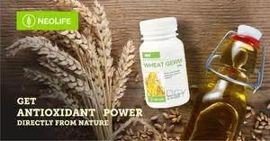 Wheat Germ Oil - 60 Capsules