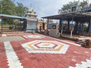 Colourful Paver Fixer With Artisic Motives and Ambitions