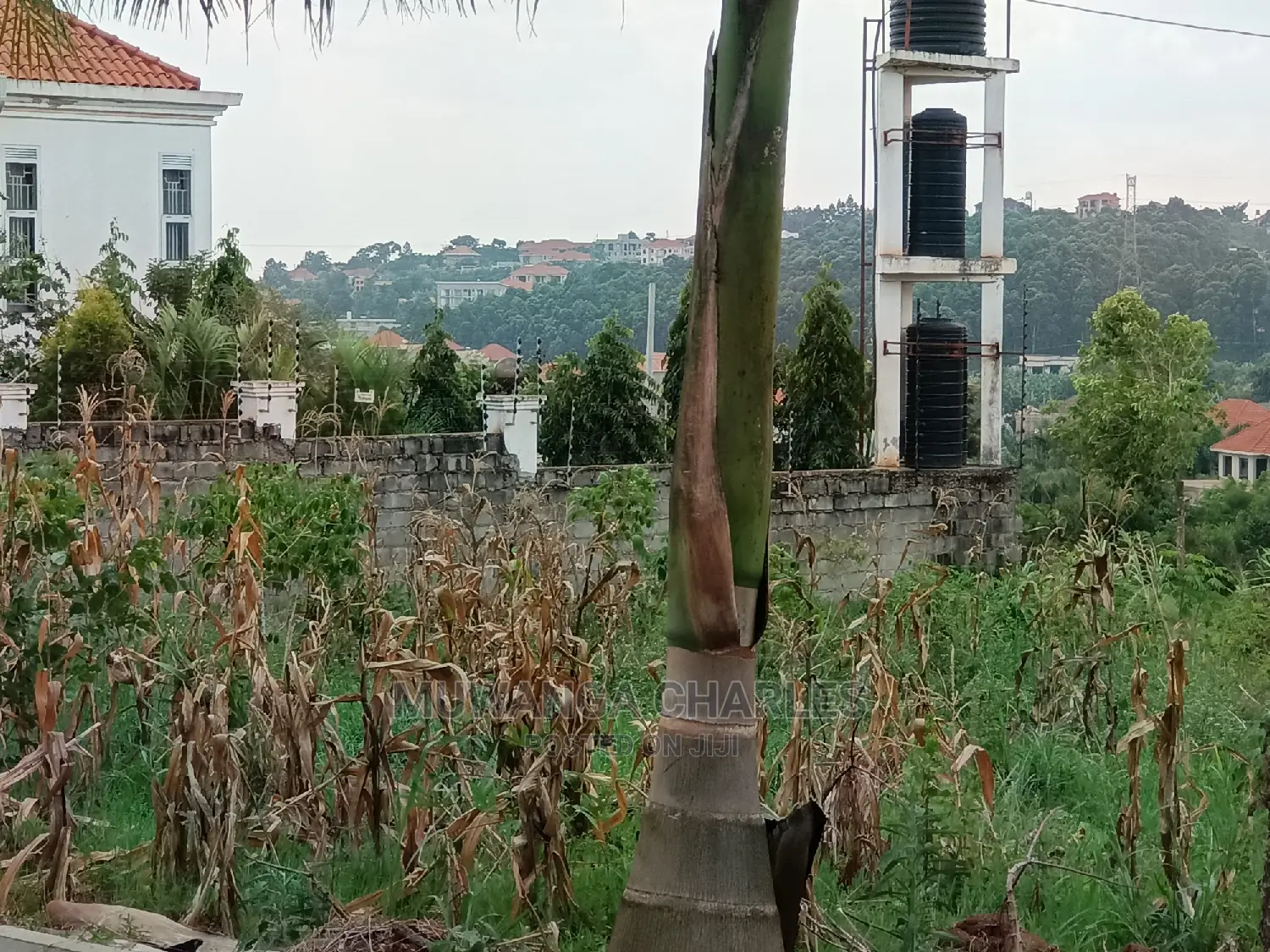 Plot's for Sale in Kyanja