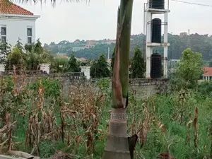 Plot's for Sale in Kyanja