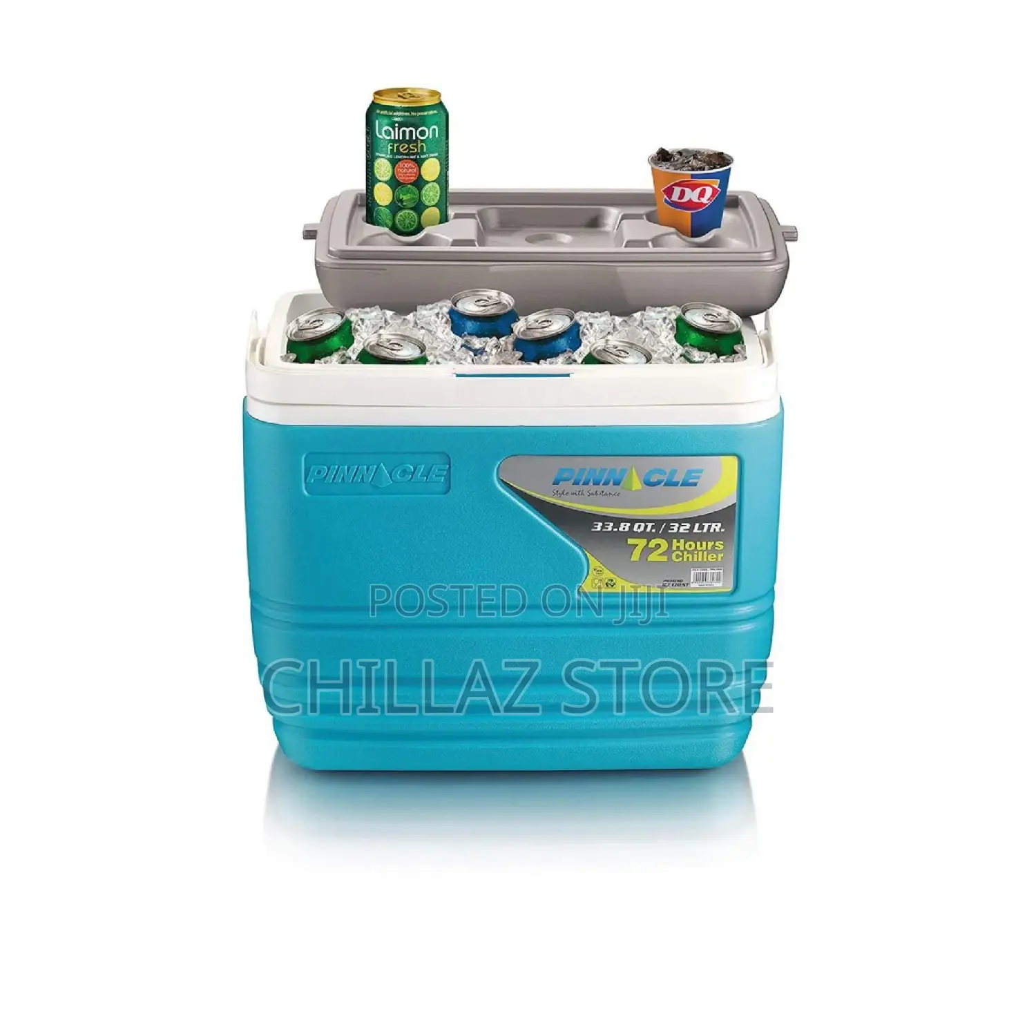 Pinnacle 33.8.Litres Cooler Box.
