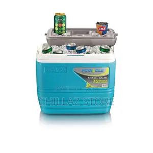 Pinnacle 33.8.Litres Cooler Box.