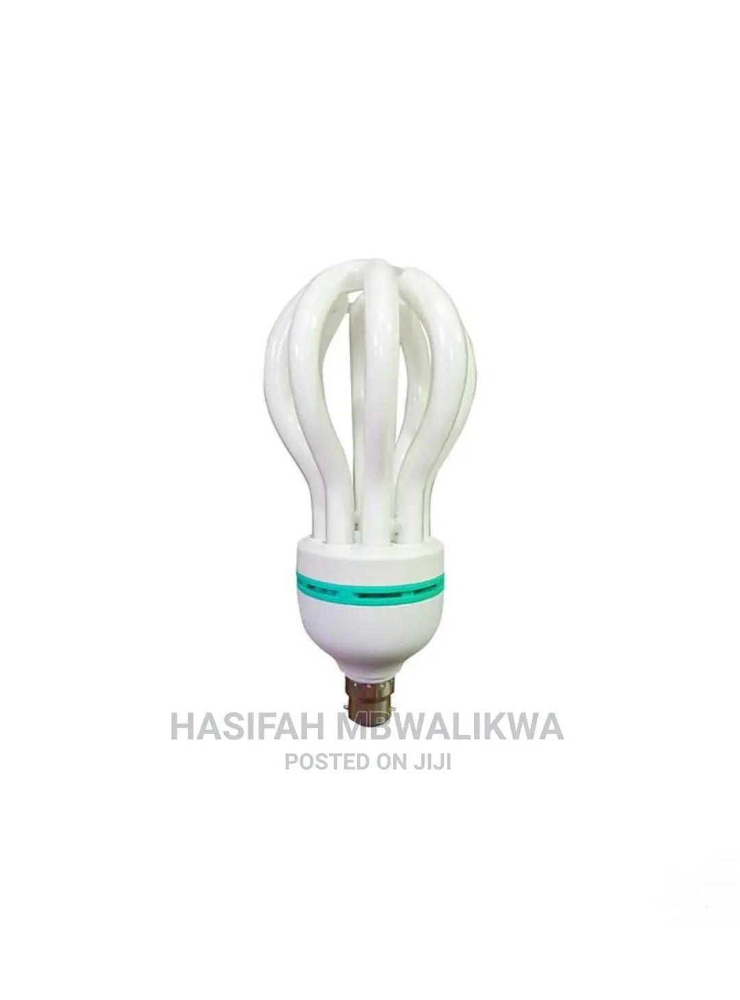 Energy Saver Bulb