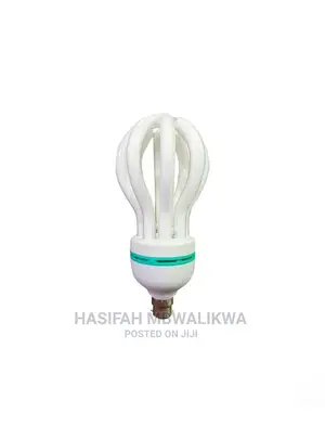 Energy Saver Bulb