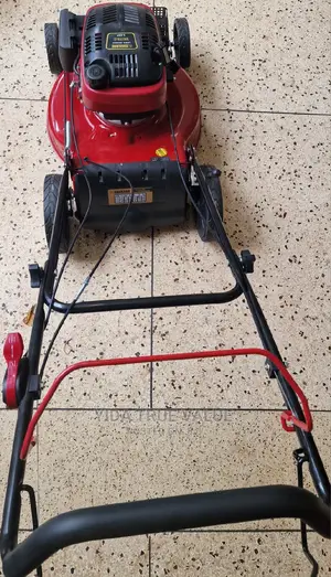 Lawn Mower 6hp