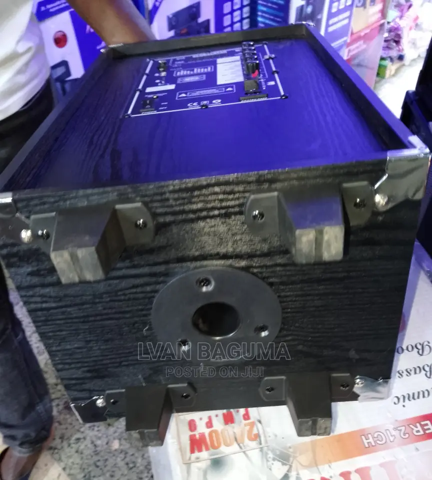 Globalstar Amplified Portable Speaker - Size 25 X 17 Inches