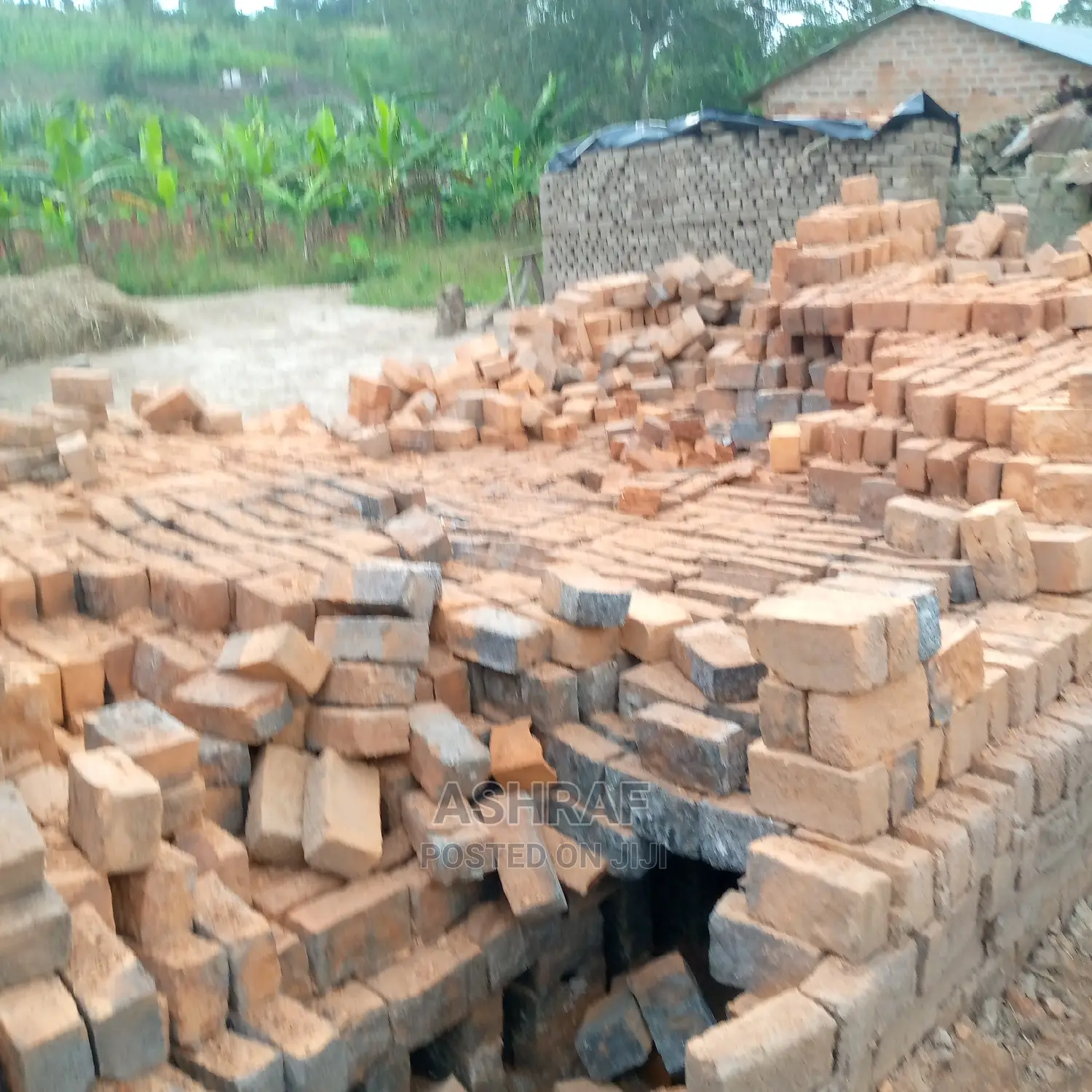 Clay Bricks