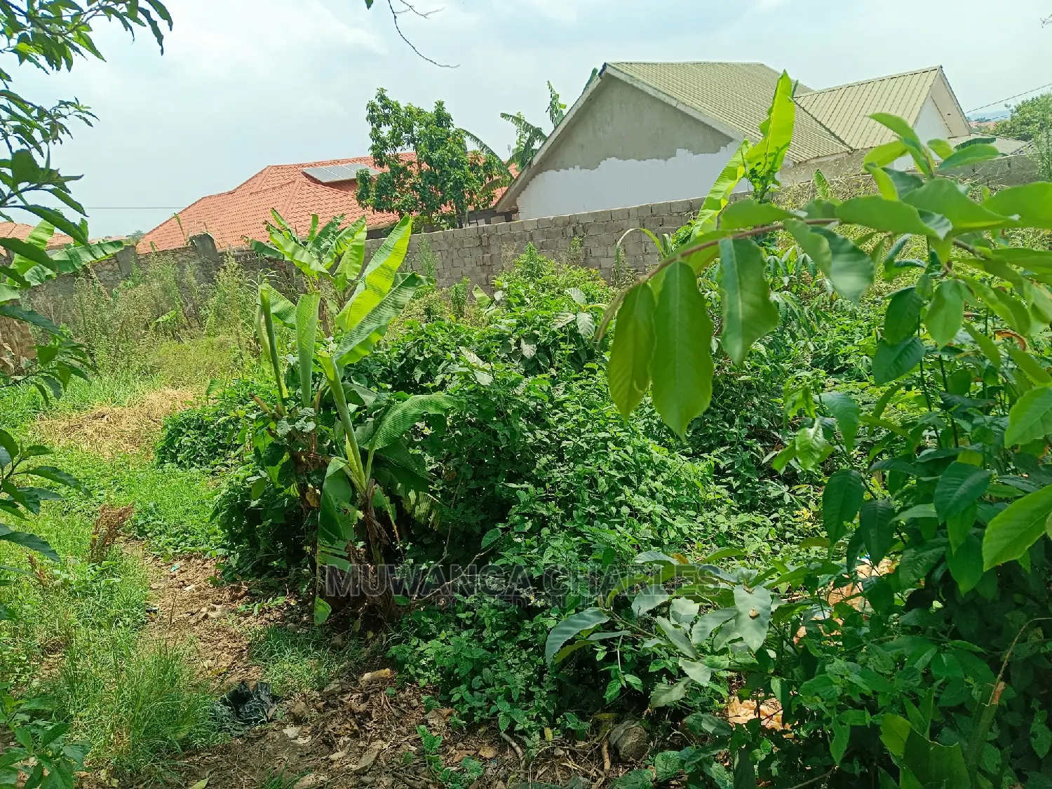 Plot's for Sale in Kyanja Kungu