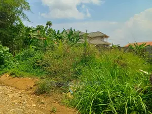Plot's for Sale in Kyanja Kungu