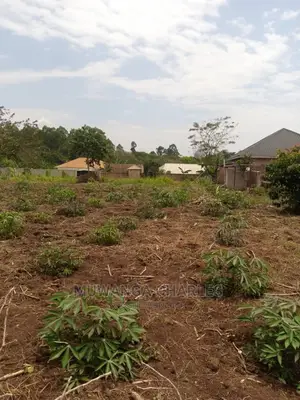 Plot's for Sale in Gayaza Kimwanyi
