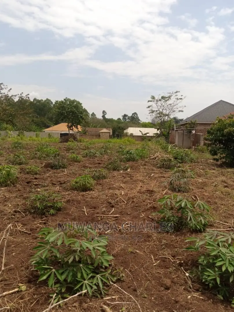 Plot's for Sale in Gayaza Kimwanyi