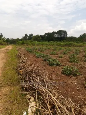 Plot's for Sale in Gayaza Kimwanyi