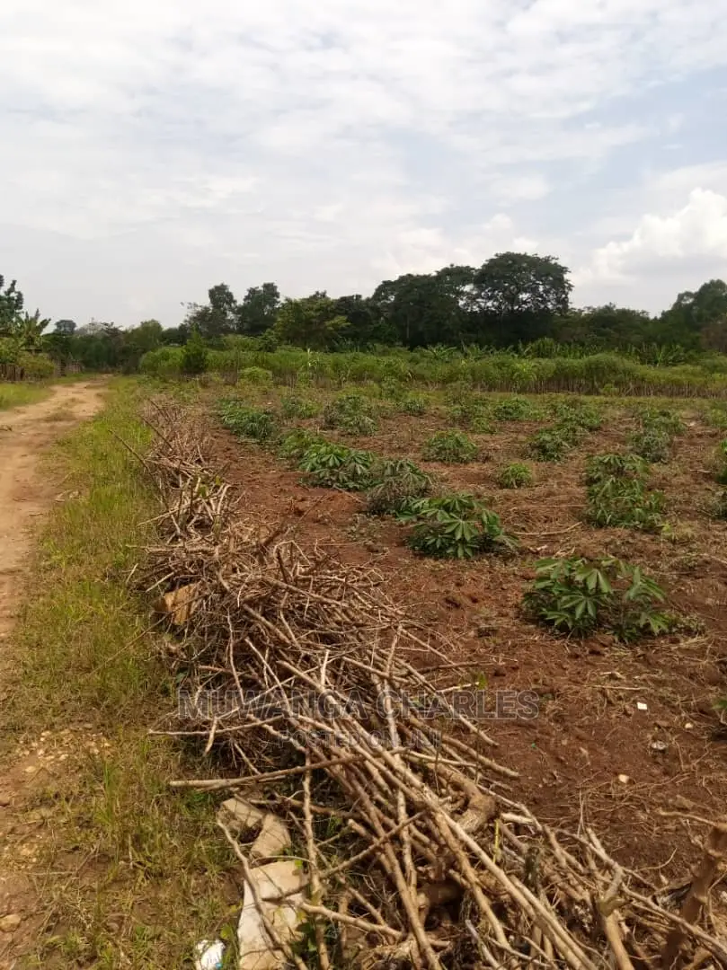 Plot's for Sale in Gayaza Kimwanyi