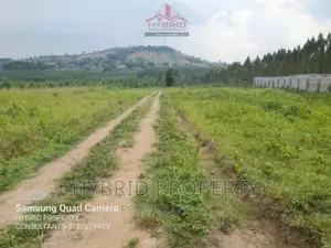 Prim Plots for Sale at Bujjuko Tarmac View Estate~Mityana Rd